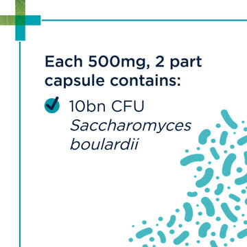 PAW DIGESTICARE SB 30'S Capsules 小型犬腸道護理 30粒裝