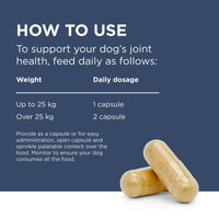 PAW OSTEOSUPPORT JOINT CARE DOGS 500mg 狗用關節進階護理配方 500mg