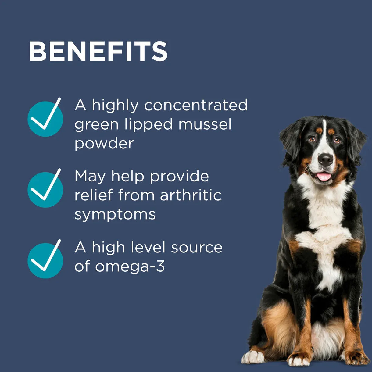 PAW OSTEOSUPPORT JOINT CARE DOGS 500mg 狗用關節進階護理配方 500mg