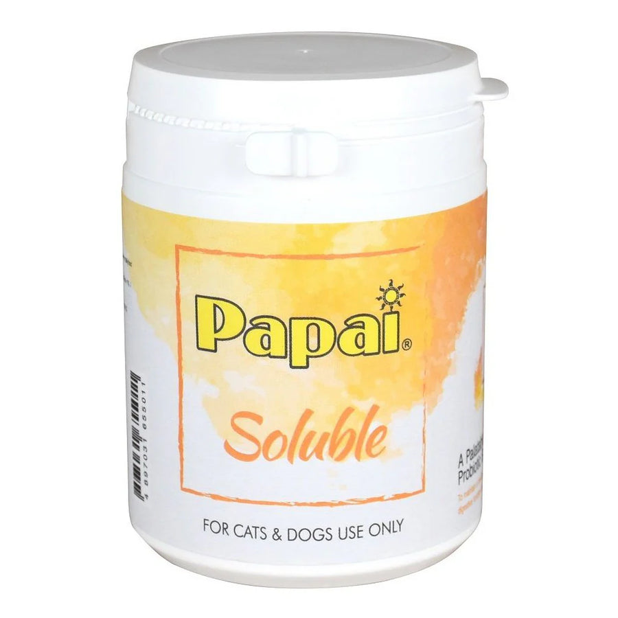 papai-soluble_150g