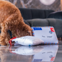 Woof_香港空郵信件藏食毛絨寵物玩具