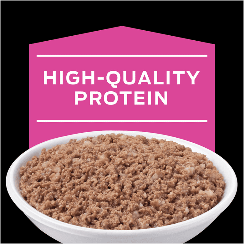 Purina Pro Plan UR 泌尿健康 (尿結石) 護理貓咪罐頭 5.5oz Veterinary Diets UR Urinary St/Ox Feline Formula