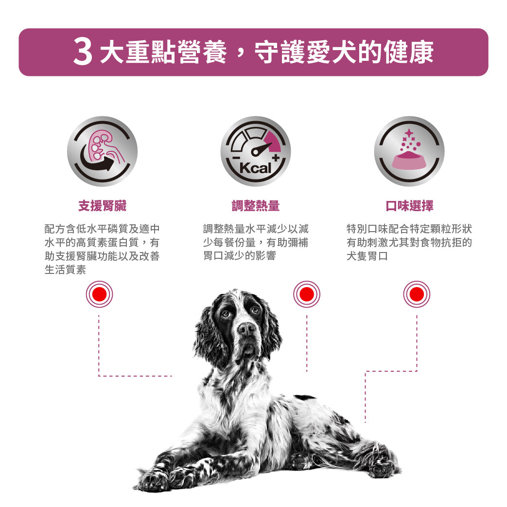 Royal Canin - VHN Dog Renal 成犬腎臟處方罐頭410g