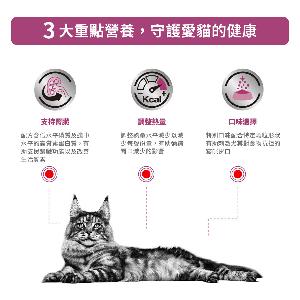 Royal Canin - VHN Cat Renal 成貓腎臟處方袋裝濕糧85g 雞肉味