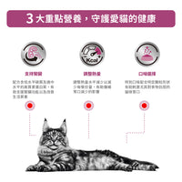 Royal Canin - VHN Cat Renal 成貓腎臟處方袋裝濕糧85g 雞肉味