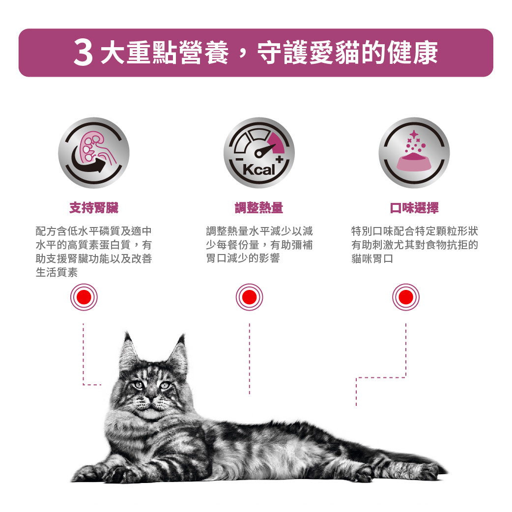 Royal Canin - VHN Cat Renal 成貓腎臟處方袋裝濕糧85g 魚肉味