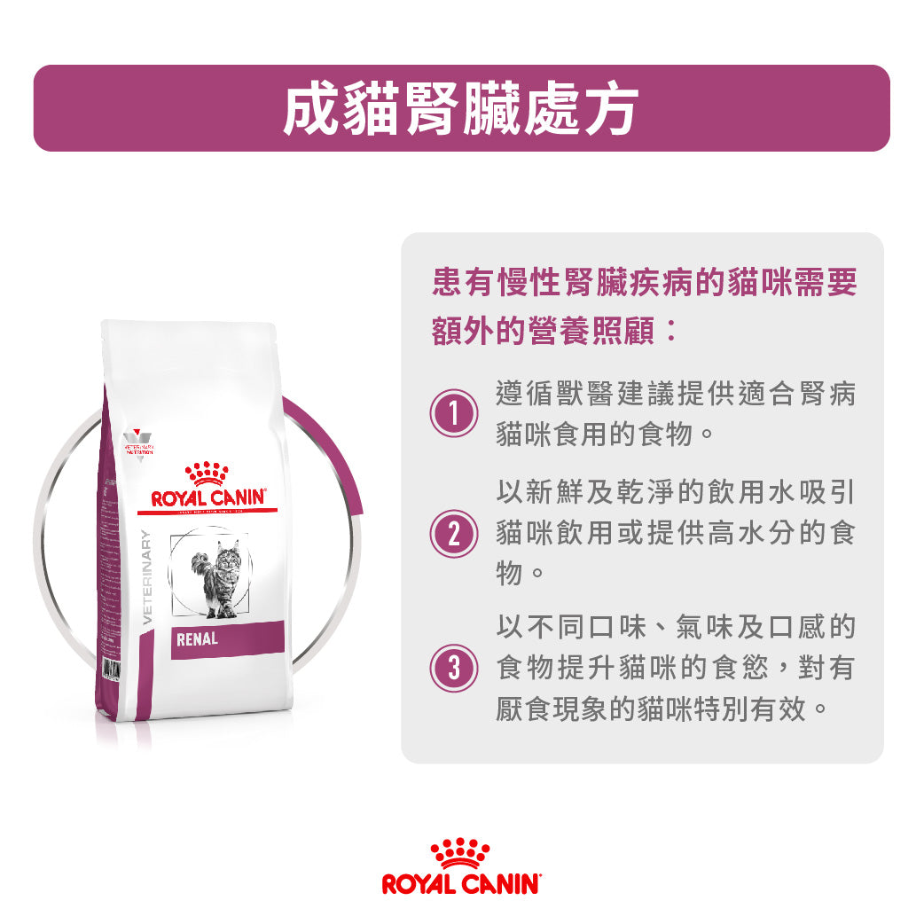 Royal Canin - VHN Cat Renal 成貓腎臟處方糧