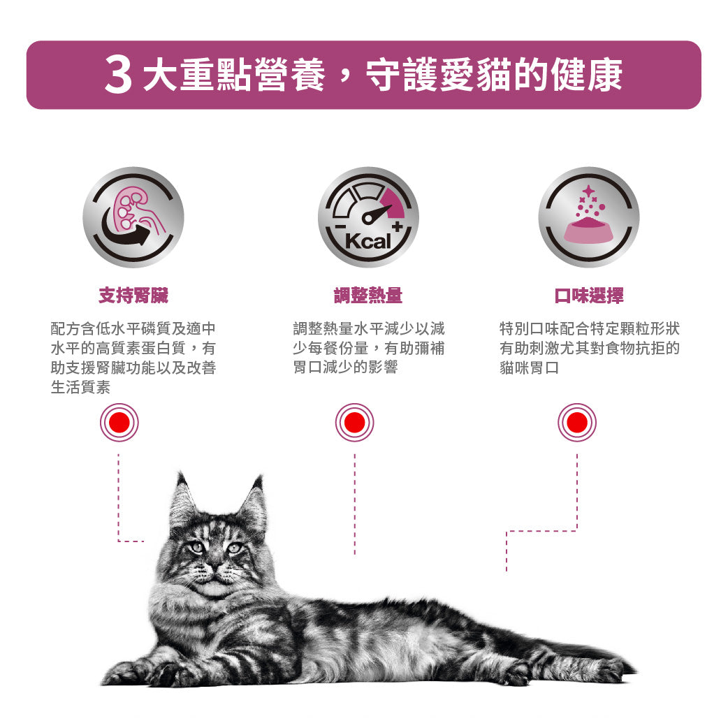 Royal Canin - VHN Cat Renal 成貓腎臟處方糧