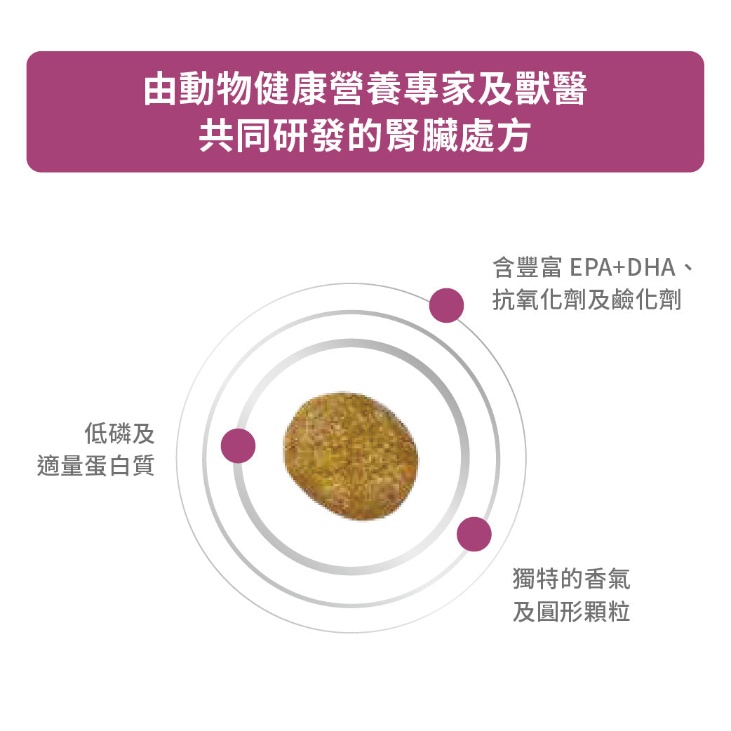 Royal Canin - VHN Cat Renal 成貓腎臟處方糧