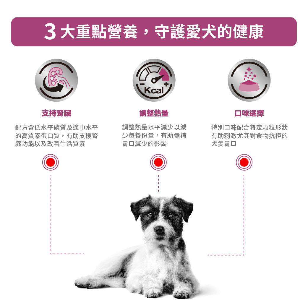 Royal Canin - VHN Renal Small Dog 小型成犬腎臟處方糧