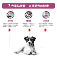 Royal Canin - VHN Renal Small Dog 小型成犬腎臟處方糧