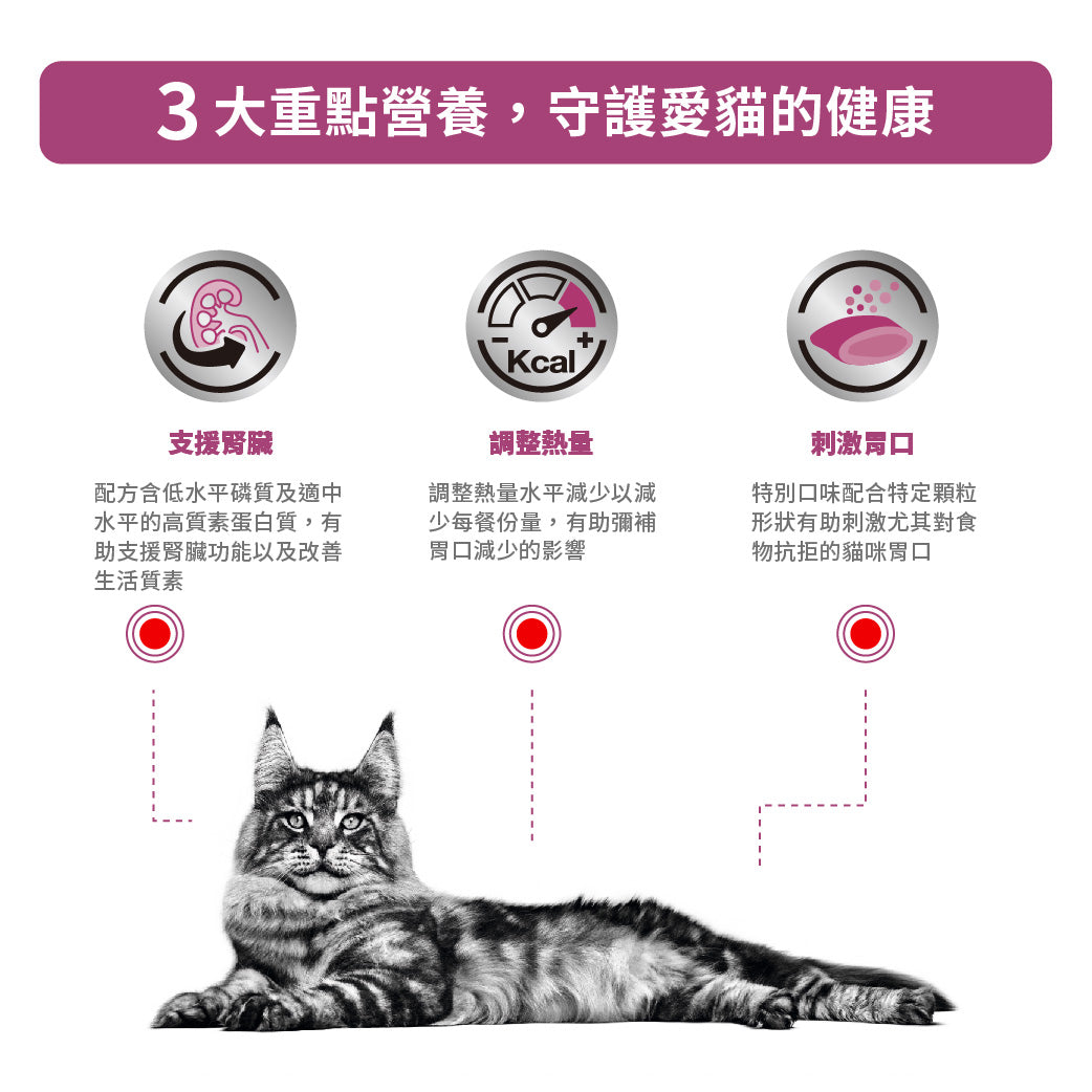 Royal Canin - VHN Cat Renal Select 成貓腎臟精選處方糧