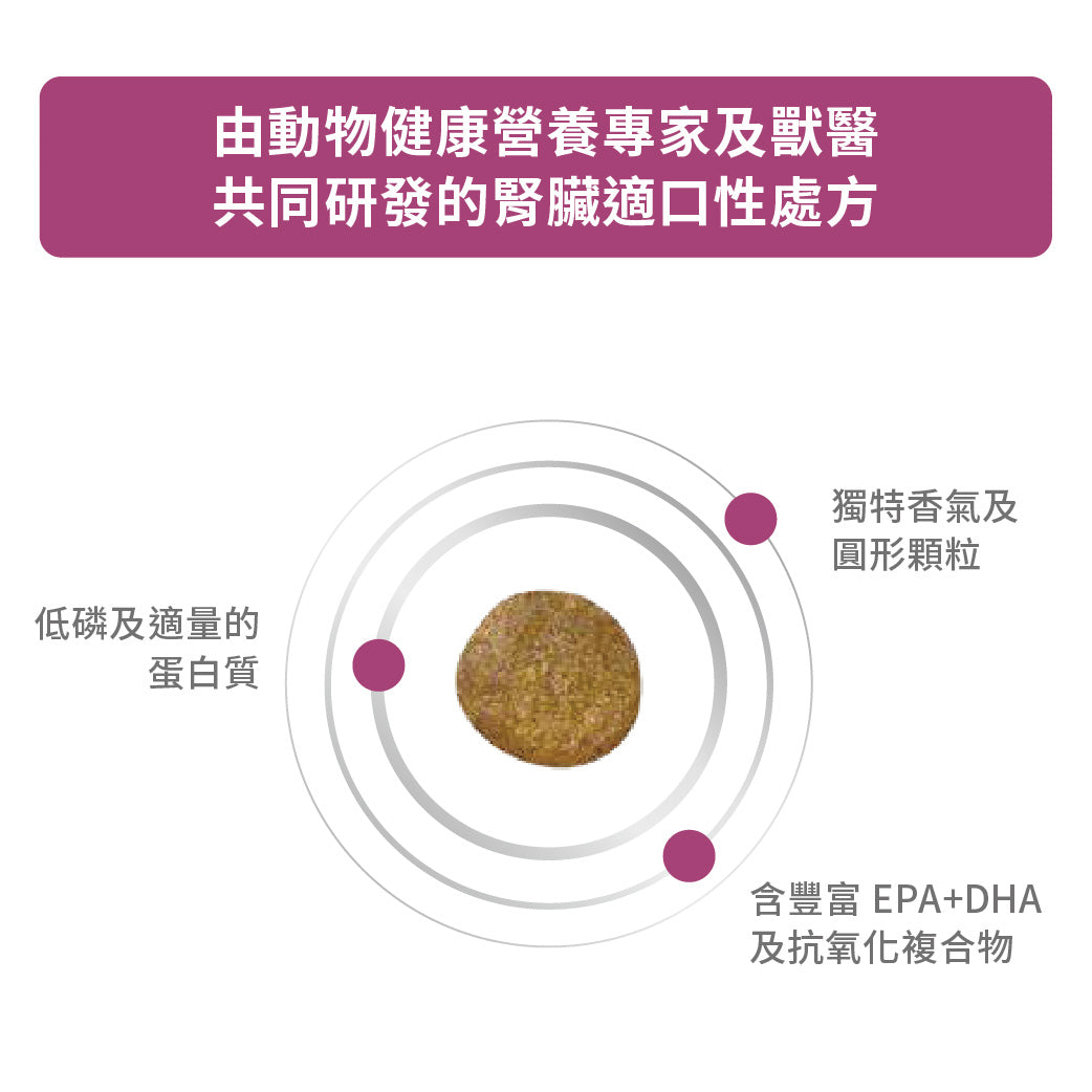 Royal Canin - VHN Dog Renal Special 成犬腎臟適口性處方糧