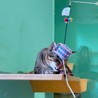 Meow_紅白藍膠袋逗貓棒