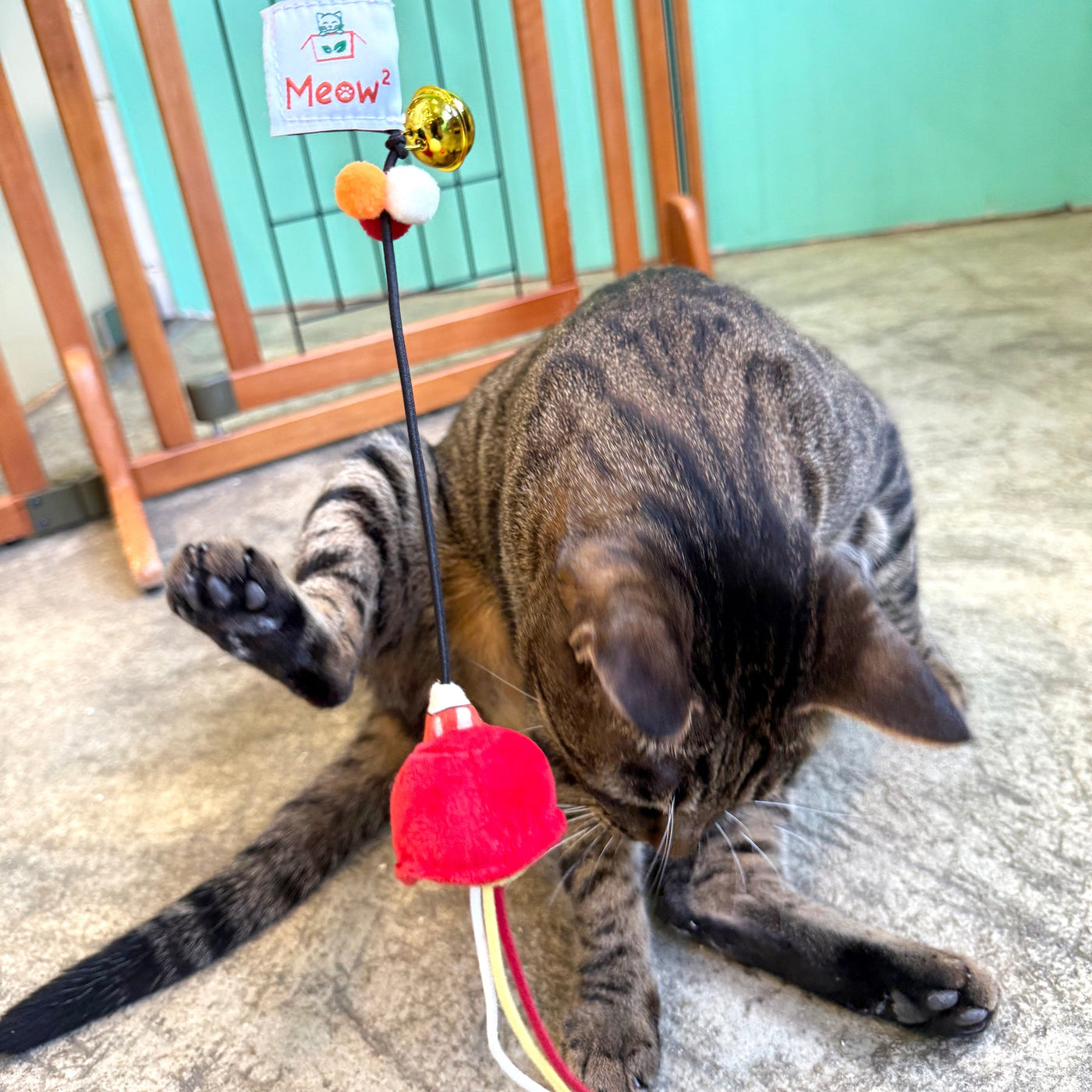 Meow_紅色街市燈逗貓棒