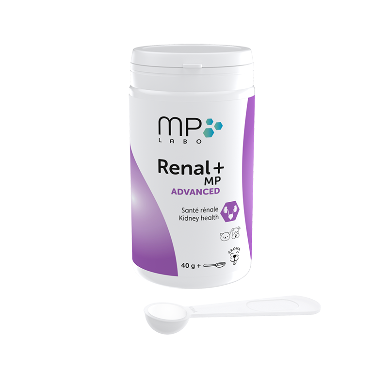 renal_mp_advanced_advanced_stage_kidney_support_40g