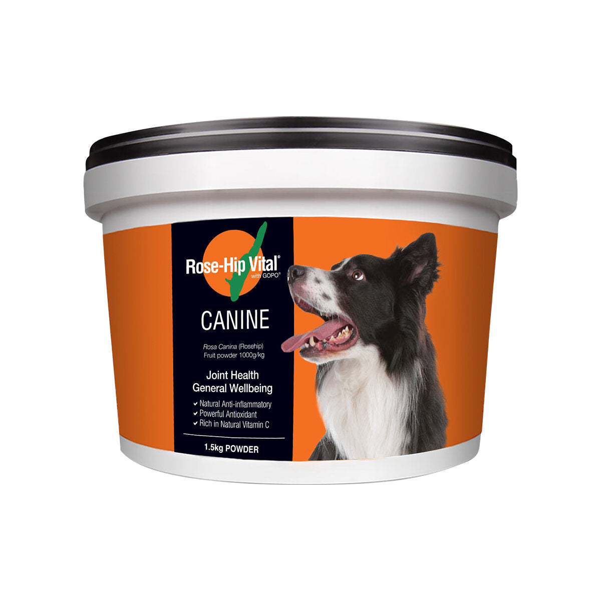 rose-hip-vital-canine