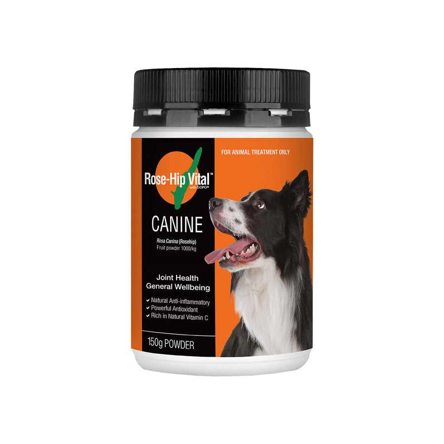 rose-hip-vital-canine