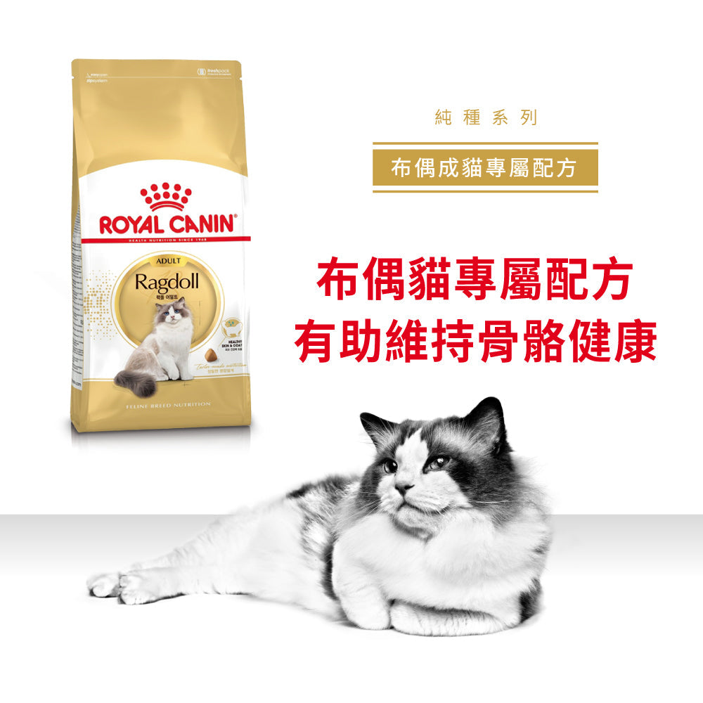 Royal Canin 法國皇家貓乾糧 - 布偶成貓 Ragdoll Adult