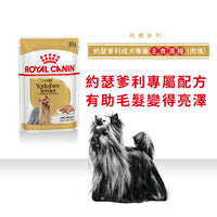 Royal Canin 法國皇家狗濕糧 - 約瑟爹利成犬專屬配方 (肉塊) Yorkshire Terrier Adult (Loaf) 85g