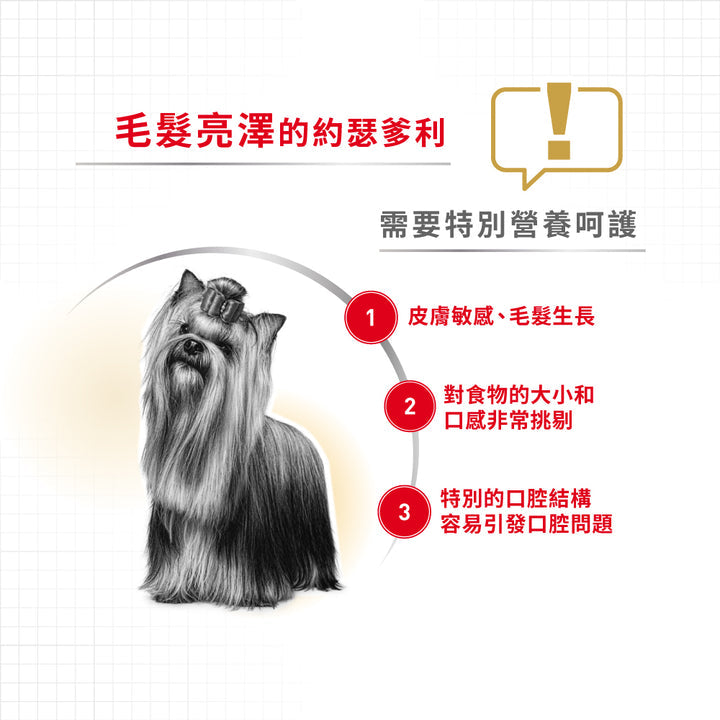 Royal Canin 法國皇家狗濕糧 - 約瑟爹利成犬專屬配方 (肉塊) Yorkshire Terrier Adult (Loaf) 85g