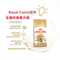 Royal Canin 法國皇家貓乾糧 - 孟加拉豹貓成貓 Bengal Adult