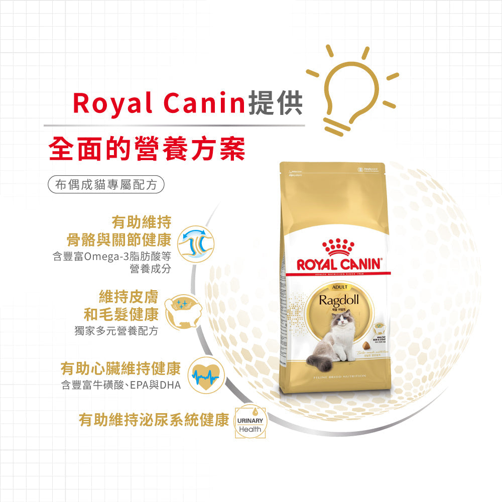 Royal Canin 法國皇家貓乾糧 - 布偶成貓 Ragdoll Adult