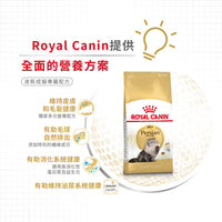 Royal Canin 法國皇家貓乾糧 - 波斯成貓 Persian Adult