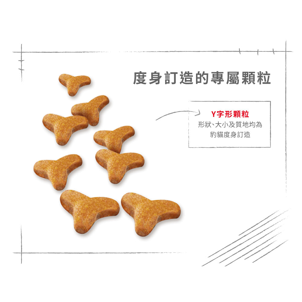 Royal Canin 法國皇家貓乾糧 - 孟加拉豹貓成貓 Bengal Adult
