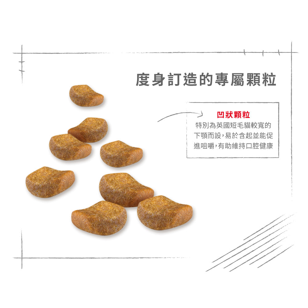 Royal Canin 法國皇家貓乾糧 - 英國短毛成貓 British Shorthair Adult