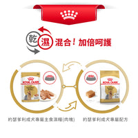 Royal Canin 法國皇家狗濕糧 - 約瑟爹利成犬專屬配方 (肉塊) Yorkshire Terrier Adult (Loaf) 85g
