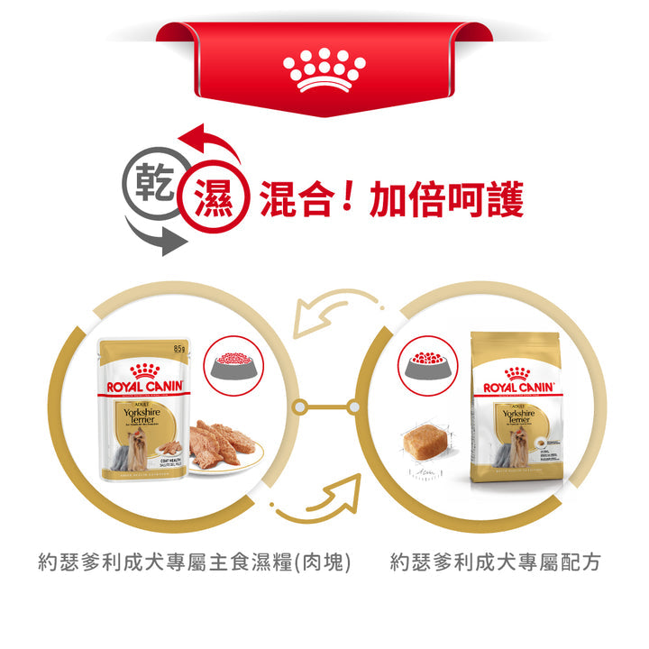 Royal Canin 法國皇家狗濕糧 - 約瑟爹利成犬專屬配方 (肉塊) Yorkshire Terrier Adult (Loaf) 85g