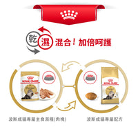 Royal Canin 法國皇家貓乾糧 - 波斯成貓 Persian Adult