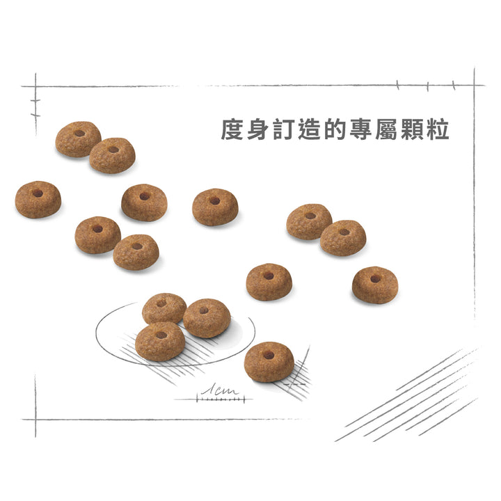 Royal Canin 法國皇家狗乾糧 - 小型犬絕育加護配方 Mini Sterilised 3kg