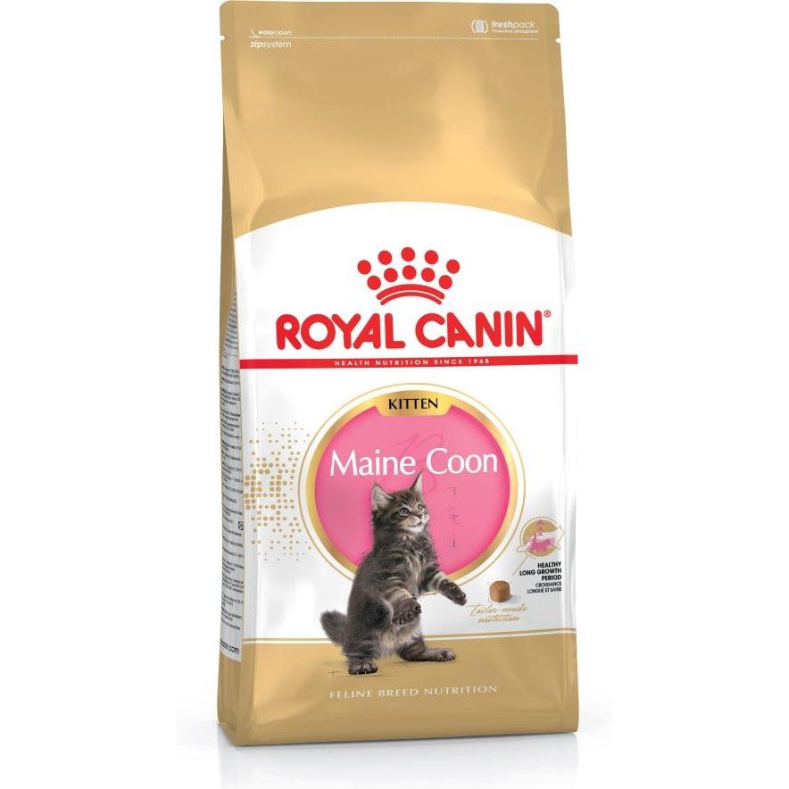 Royal Canin 法國皇家幼貓乾糧 - 緬因幼貓 Maine Coon Kitten