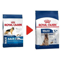 Royal Canin 法國皇家狗乾糧 - 大型成犬5+營養配方 Maxi Adult 5+ 15kg