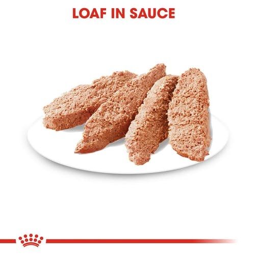 Royal Canin 法國皇家－成犬泌尿道健康加護主食濕糧（肉塊）85g