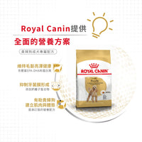 Royal Canin 法國皇家狗乾糧 - 貴婦狗成犬專屬配方 Poodle Adult
