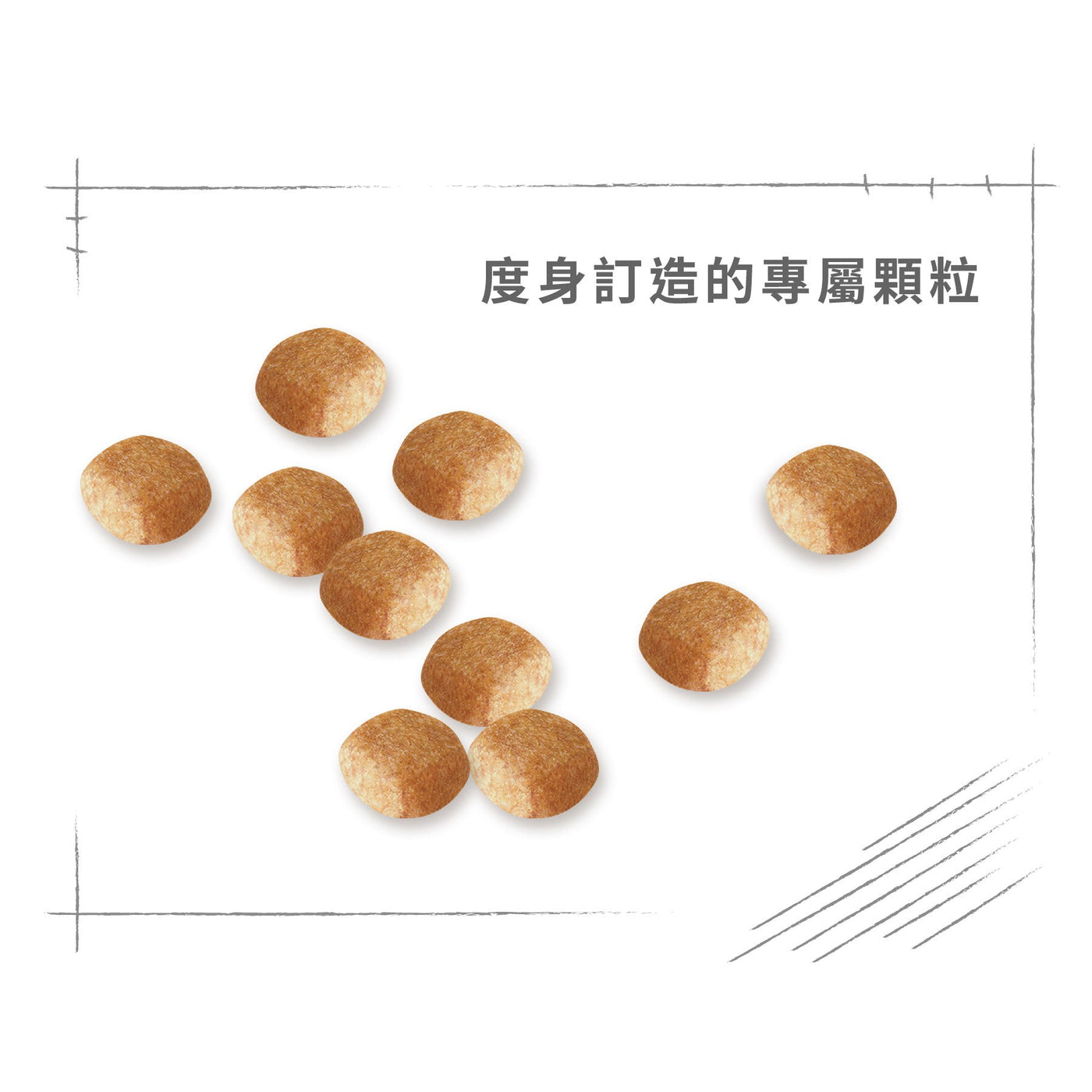 Royal Canin 法國皇家狗乾糧 - 迷你史納莎成犬專屬配方 Mini Schnauzer Adult