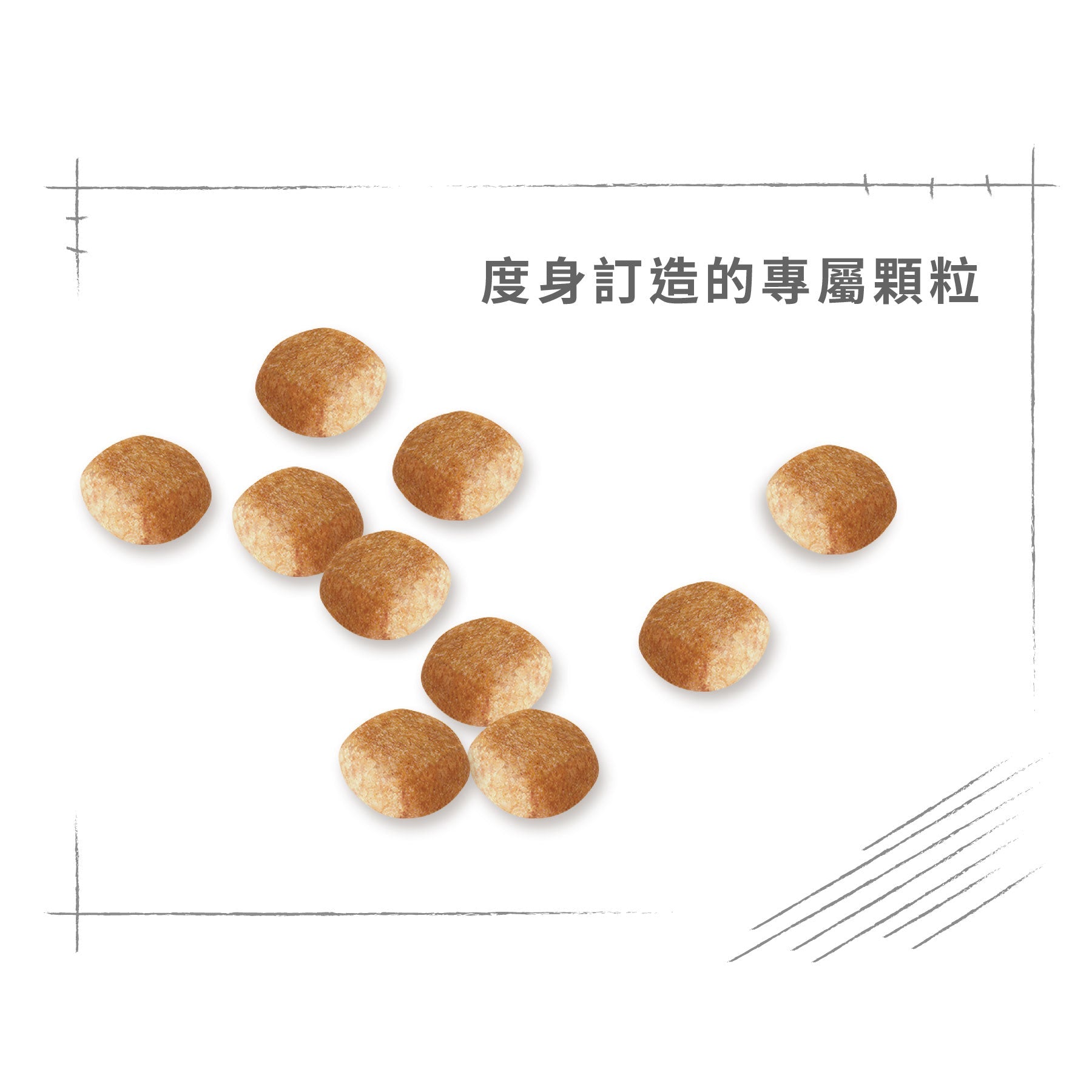 Royal Canin 法國皇家狗乾糧 - 迷你史納莎成犬專屬配方 Mini Schnauzer Adult