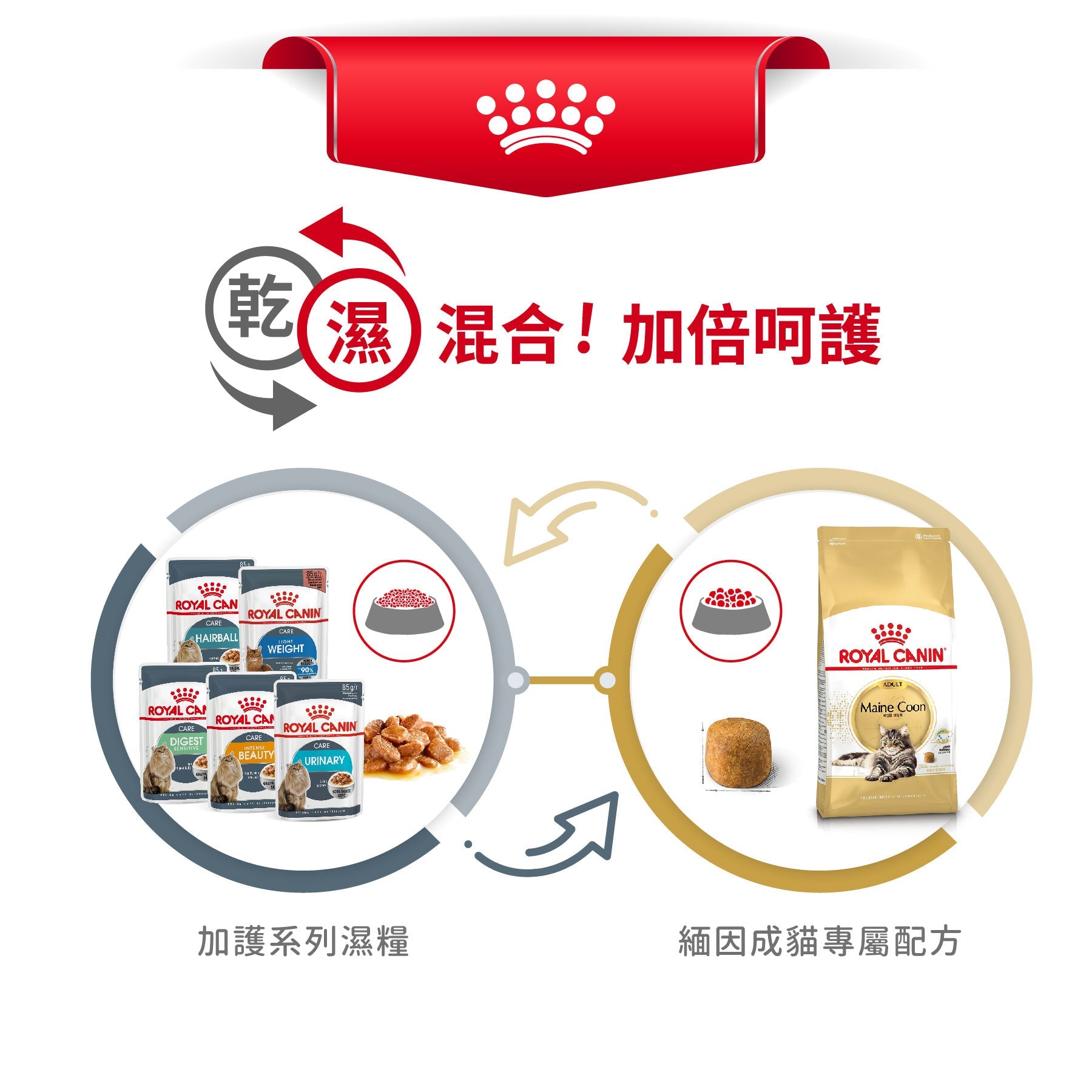 Royal Canin 法國皇家貓乾糧 - 緬因成貓 Maine Coon Adult