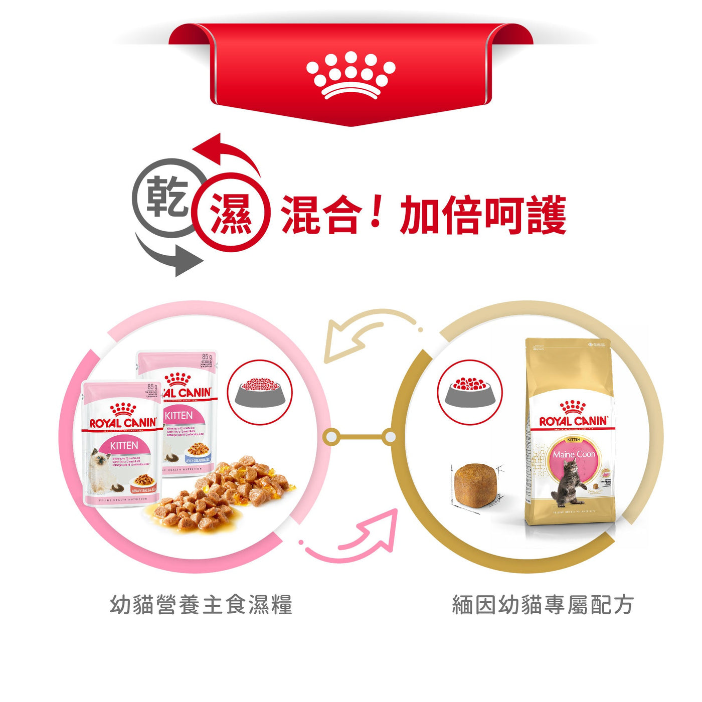 Royal Canin 法國皇家幼貓乾糧 - 緬因幼貓 Maine Coon Kitten