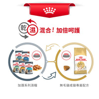 Royal Canin 法國皇家貓乾糧 - 無毛成貓 Sphynx Adult 2kg