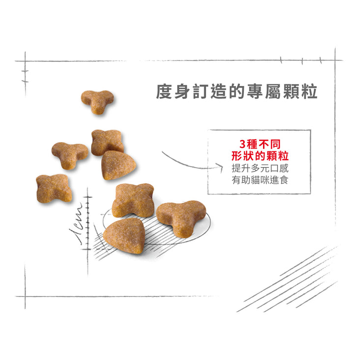 Royal Canin 法國皇家貓乾糧 - 腸胃敏感配方 Regular Sensible