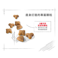 Royal Canin 法國皇家貓乾糧 - 腸胃敏感配方 Regular Sensible