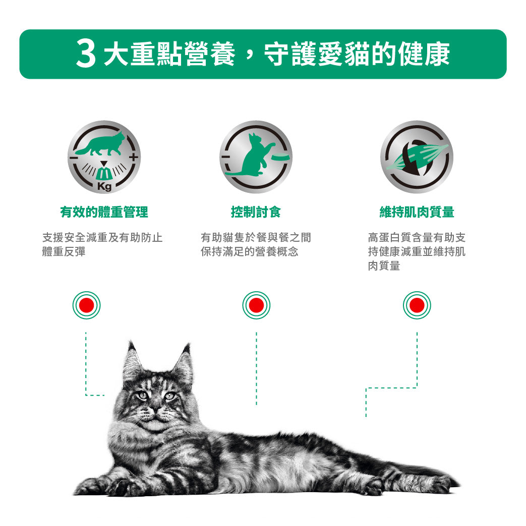 Royal Canin - VHN Cat Satiety Support 成貓飽足感處方濕糧