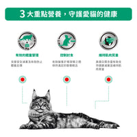 Royal Canin - VHN Cat Satiety Support 成貓飽足感處方濕糧