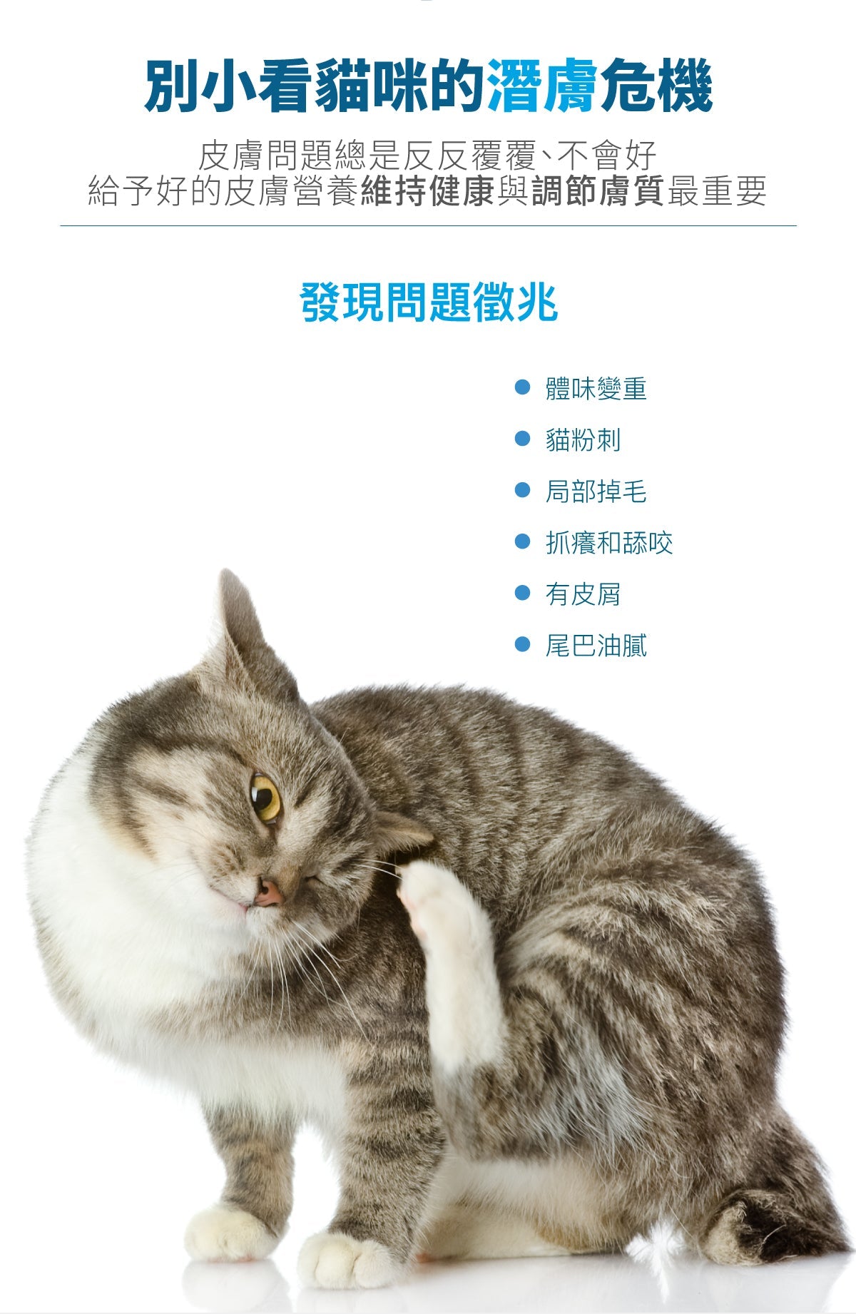 Moreson_木入森_貓咪膚立好_50_包_Skin_Care_Formula