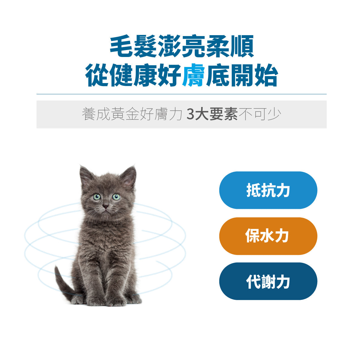 Moreson_木入森_貓咪膚立好_50_包_Skin_Care_Formula