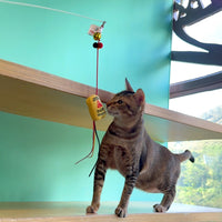 Meow_小心地滑警告牌逗貓棒